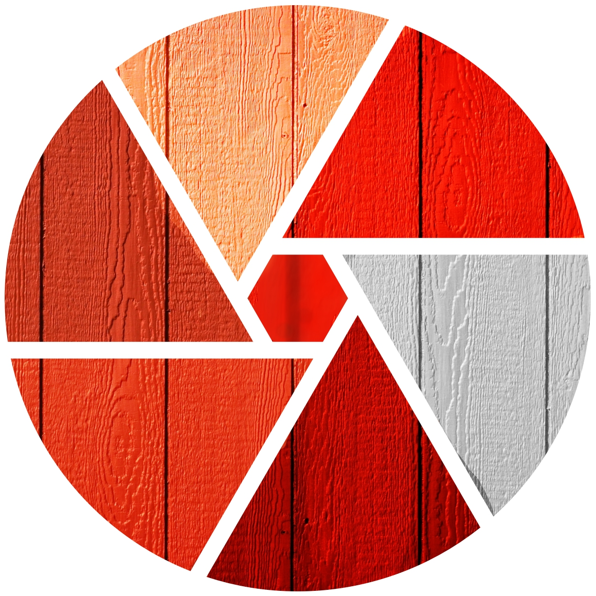 Revista din Lemn Logo